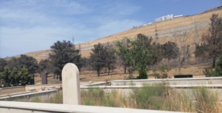 “Qurd Qapısı”nda VƏHŞİLİK... - NARAZILIQ VAR!