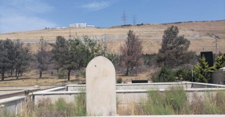 “Qurd Qapısı”nda VƏHŞİLİK... - NARAZILIQ VAR!