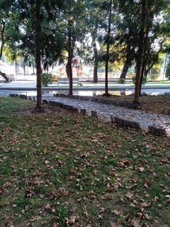 Vidadi İsayevin başı necə qarışıbsa... - BU NƏDİ BELƏ?