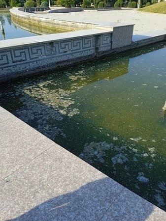 Vidadi İsayevin başı necə qarışıbsa... - BU NƏDİ BELƏ?