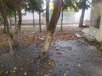 Göyçayda sakinlər başçıdan GİLEY EDİR - MÜRACİƏT