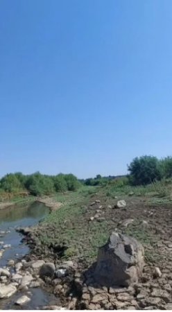 Masallıda Ana Təbiətə ÖVLAD NANKORLUĞU... - İTTİHAM VAR!