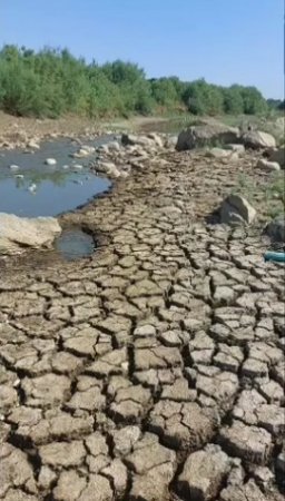 Masallıda Ana Təbiətə ÖVLAD NANKORLUĞU... - İTTİHAM VAR!