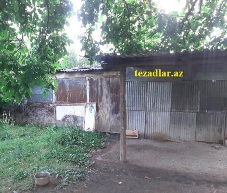 İsmayıllı sakininin ACINACAQLI DURUMU... - Başçıdan MƏDƏT UMURLAR...