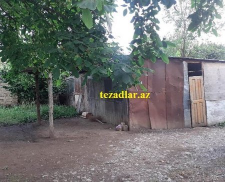 İsmayıllı sakininin ACINACAQLI DURUMU... - Başçıdan MƏDƏT UMURLAR...