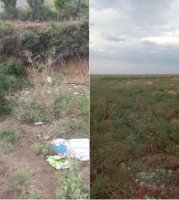 Masallı zibil içində: İCRA BAŞÇISI DA ÖZ ALƏMİNDƏ... - FOTOLAR