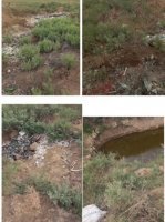 Masallı zibil içində: İCRA BAŞÇISI DA ÖZ ALƏMİNDƏ... - FOTOLAR