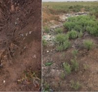 Masallı zibil içində: İCRA BAŞÇISI DA ÖZ ALƏMİNDƏ... - FOTOLAR