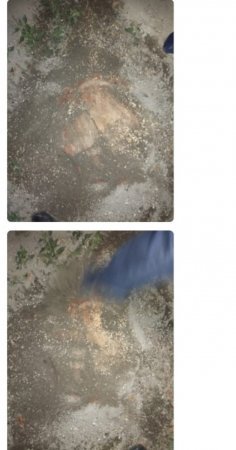 Bərdənin mərkəzində analoqu olmayan “ekoloji terror” baş verib - FOTO/FAKTLAR