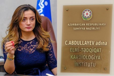 İTS-ə təcili “müalicə” lazımdır - Milyonlar yuyulur, klinikalar çökdürülür, insanlar isə…