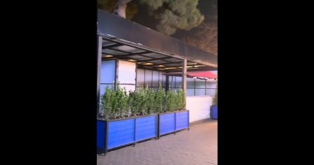 Coşqun Cəbrayılov “GECƏ XƏLVƏT” dedi və... - BU NƏDİ BELƏ?!