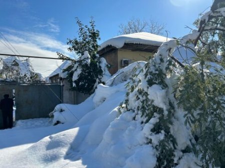 Lənkəranda qar xaosa səbəb oldu - Cənubdab yazırlar.. FOTO/VİDEO