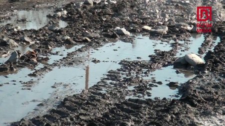 Camaat yol deyib... DAD DEYİR... - AXI NİYƏ?