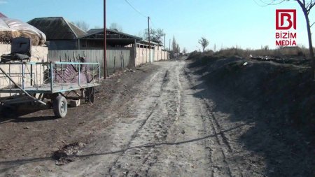 Camaat yol deyib... DAD DEYİR... - AXI NİYƏ?