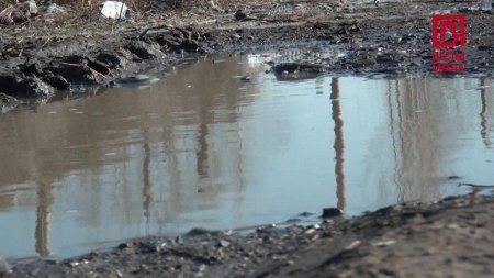 Camaat yol deyib... DAD DEYİR... - AXI NİYƏ?