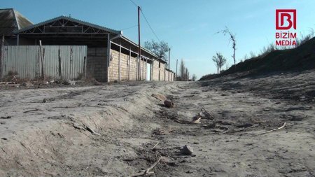 Camaat yol deyib... DAD DEYİR... - AXI NİYƏ?