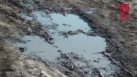 Camaat yol deyib... DAD DEYİR... - AXI NİYƏ?