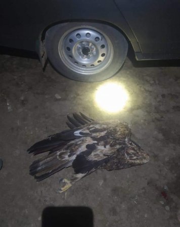 ETSN rəhbərliyi yəqin ki Türyançaydakı bu harınlıqdan bixəbərdir... - DƏHŞƏTLİ MƏNZƏRƏ...