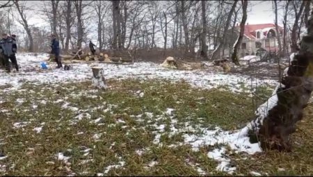 "Yaşıllıq zonalarının məhv edilməsinə göz yumurlar..." - ETİRAZ