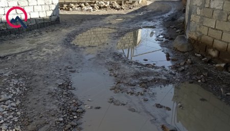 “Şəhidin yaşlı anası bu yollarda yıxıldı...” - GİLEY