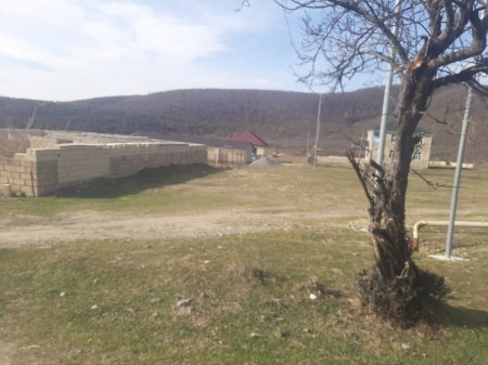 Oğuzda sakinlərlə bələdiyyə arasında torpaq qalmaqalı... - "Pulu alıb, sənədi vermir"