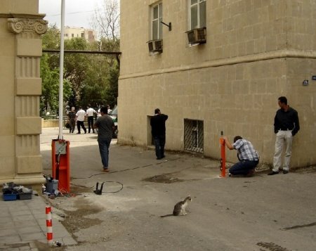 AYNA şefi indi də şlaqbaum satır? - BU NƏDİ BELƏ?!