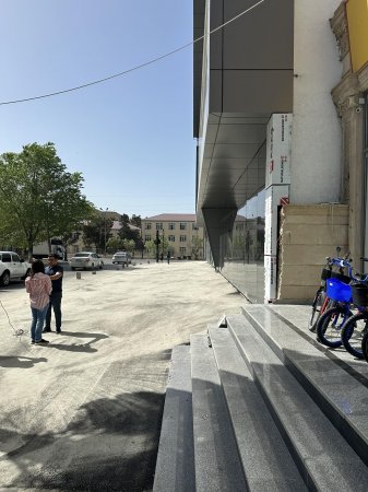 Xırdalanda ağacları gecə ilə kəsib parkinq yeri düzəltdilər – FOTOFAKT 