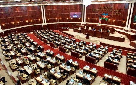 "Retro” istirahət mərkəzi, şadlıq evləri, avtomobil biznesi... -Ən passiv deputatın VARİDATI