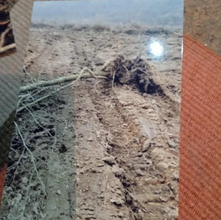 Nazirlik `Asfalt Raqib`lə bacarmır, yoxsa şərikdir? - ÜRƏKAĞRIDAN MƏNZƏRƏ...