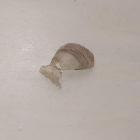`Bakıxanov`un çörəyii aldı... uşağı ÖLÜMDƏN DÖNDÜ... - AQTA HARA BAXIR?
