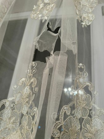 “Padişah xalı” görün müştəriləri necə aldadır - AXI NİYƏ?..