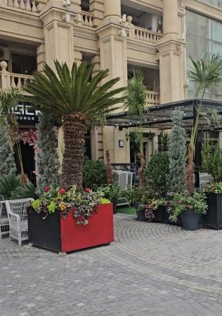 “Blak lounge” restoranı kütləvi narazılıq yaradır–PREZİDENTƏ MÜRACİƏT/FOTOLAR