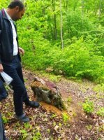“Bu adam meşədə BAZAR AÇIB...” - NAZİRİN NƏZƏRİNƏ!