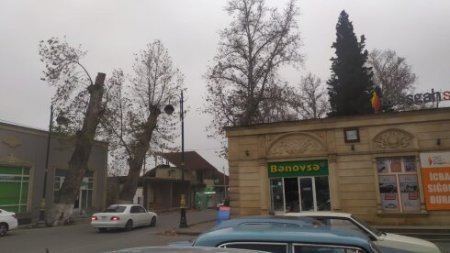 "Natiq Ağayev elə bil Göyçaya və göyçaylılara qənim kəsilib" FOTO