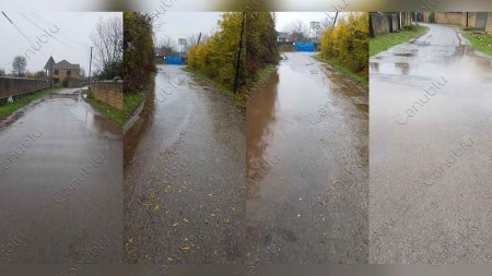 Astara şəhər 4 saylı orta məktəb "adada yerləşir" -FOTOFAKT