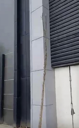 Azay Möhnətovun qalmaqallı bazarında nə baş verir? - FOTOLAR