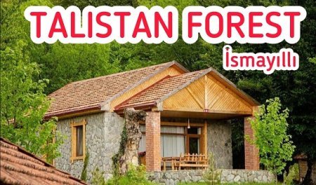 BAŞÇININ MÜAVİNİ ZƏBT ETDİYİ TORPAQ SAHƏSİNDƏ RESTORAN TİKİB, GÖL DÜZƏLDİB