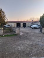 Nuriyevlərin Sabirabadda seçki sabotajı – Zakir Quliyev bundan sonra da qoyunlarını otaracaq İDDİA