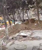 Bakıda yaşıllığa VƏHŞİ MÜNASİBƏTİ... - FOTOLAR