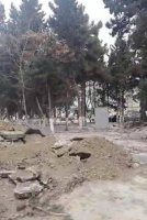 Bakıda yaşıllığa VƏHŞİ MÜNASİBƏTİ... - FOTOLAR