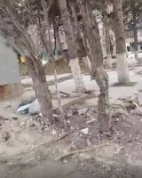 Bakıda yaşıllığa VƏHŞİ MÜNASİBƏTİ... - FOTOLAR