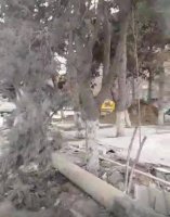 Bakıda yaşıllığa VƏHŞİ MÜNASİBƏTİ... - FOTOLAR