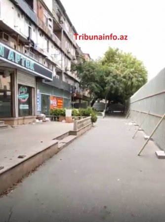 “Gold” MTK yüzlərlə ağacı məhv etdi –FOTOFAKT
