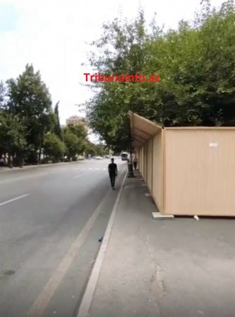 “Gold” MTK yüzlərlə ağacı məhv etdi –FOTOFAKT