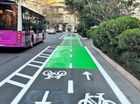 Bakı laboratoriya, insanlar da təcrübə siçanı deyil: AYNA-da görünənlər