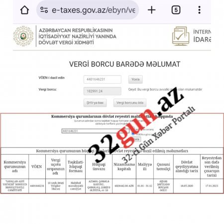 Məmməd Musayevin nümayəndəsi dövlətə borclanıb - FOTO